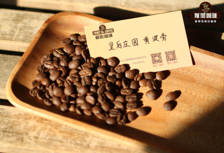 Brazilian Coffee Origin Culture and Planting History: The Story of Coffee Varieties' Origins and Introduction to Brazilian Coffee Bean Characteristics and Brewing Flavor