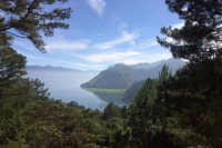 What are the characteristics of Sumatran coffee? A brief story of Sumatran coffee. Is Mandheling Americano black coffee?