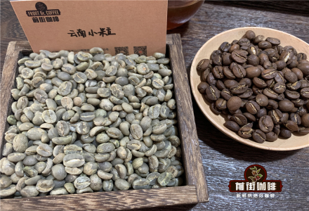 Yunnan Arabica Coffee Bean Variety Characteristics, Flavor Profile, and Tasting Notes - Yunnan Small Bean Coffee Price