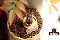 Kenya Bean Roasting Method Kenya Coffee Hot Water Pour-Over Extraction Method Parameters