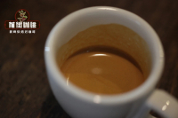 Espresso Extraction Time and Dose Standards: Italian Blend Coffee Bean Recipe Tips and Sharing