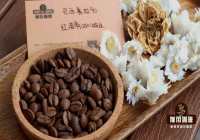 Flavor Profile of Brazilian Coffee: How to Make Delicious Pour-Over Coffee? Are Brazilian Beans Light or Dark Roasted?