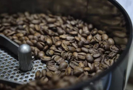 What is the Relationship and Difference Between Typica Coffee Beans and Arabica Coffee Beans? Origin, Characteristics, and Flavor Profile of Arabica Coffee Beans