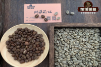 Characteristics of Kenya AA Grade Coffee Beans - Introduction to Washed AA Hand-Drip Flavor Profile