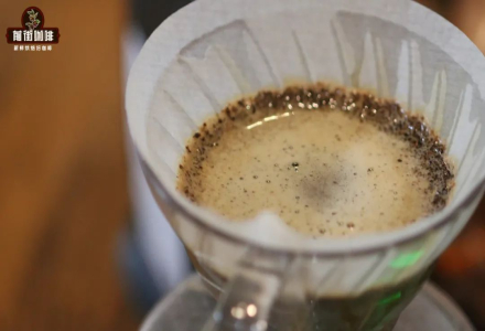 Introduction to African Kenya AA Grade Coffee Beans - Pour Over Kenya Coffee Flavor Profile and Brewing Parameters