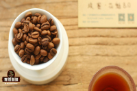 How to Choose Coffee Beans for Beginners: Understanding Bean Resting Periods, Flavor Peak Periods, and Shelf Life