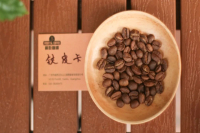 Coffee Knowledge: The Development Journey of Arabica Typica