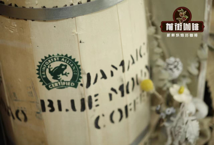 What Grade Are Blue Mountain Coffee Beans? Introduction to Jamaica Blue Mountain No. 1 Coffee Grade Characteristics and Pour-Over Taste