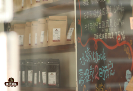 Introduction to the Top 10 Global Coffee Bean Brands - Latest Arabica Coffee Bean Brand Rankings 2023