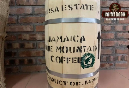 Blue Mountain Coffee Beans Characteristics, Origin Introduction, and Blue Mountain Coffee History & Pricing