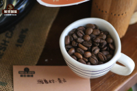 Gesha Village Auction Lot Coffee - Gesha Village Gesha SOE Latte Tutorial