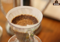 Panama Coffee Beans: Characteristics and Stories | Pour Over Brewing Parameters