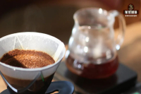 Iced Pour-Over Coffee Brewing Method: Ratios, Grind Size, and Pouring Steps