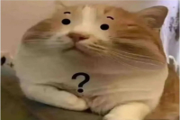 How to Order at a Coffee Shop for the First Time and Avoid Awkwardness? What Do Coffee Experts Drink?