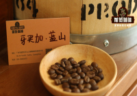 Can You Only Get Authentic Blue Mountain Coffee in Japan? What Are Genuine Jamaican Blue Mountain Coffee Beans?