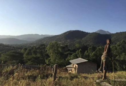 An Introduction to the Mbeya Coffee Region in Tanzania, Africa