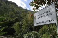 Introduction to Colombia's Coffee Growing Region: Cauca Province Hope Estate