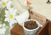 Ethiopian Coffee Flavor Introduction: How to Make Iced Pour-Over with Luckin Sidamo Guji Coffee Beans