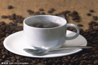 Jamaica Blue Mountain Coffee Beans: Brewing Methods, Premium Quality, and Pricing