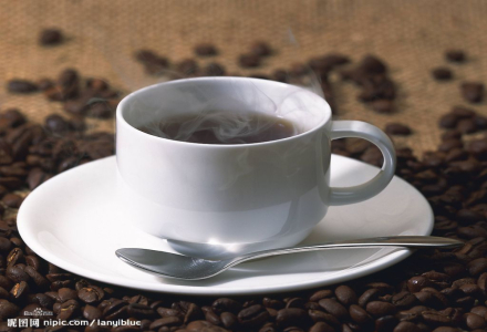 Jamaica Blue Mountain Coffee Beans: Brewing Methods, Premium Quality, and Pricing