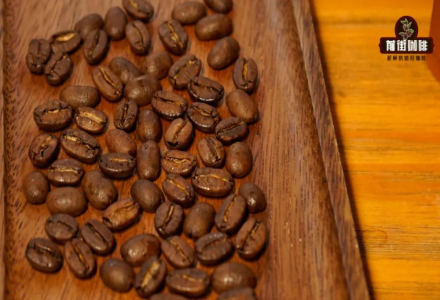 How Many Coffee Beans Are in 15g or 20g? How to Count Coffee Beans Without a Scale