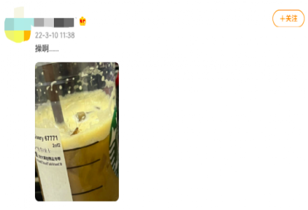 Cockroach Found in Starbucks Coffee?! Starbucks Official Response!