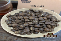 Yunnan Coffee Beans: Differences Between Typica and Catimor, and Why Catimor's Flavor is Criticized