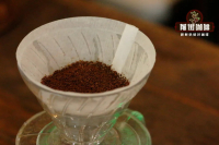 How to Make Pour-Over Coffee for Multiple People | Brewing Methods for Freshly Ground Black Coffee Powder