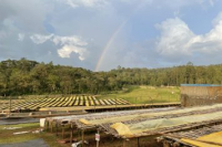 Ethiopian Coffee Bean Story: Characteristics and Flavors of Yirgacheffe and Sidamo Heirloom Coffee Beans