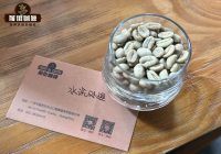 Coffee Introduction - Guide to Washed Coffee Processing and Brewing Methods
