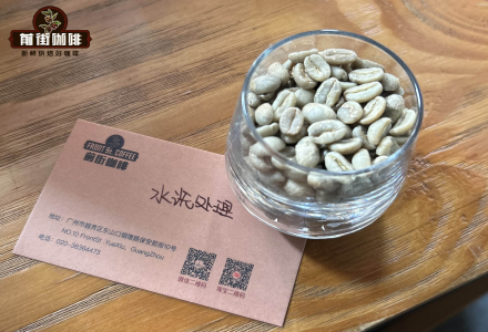 Coffee Introduction - Guide to Washed Coffee Processing and Brewing Methods