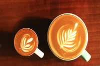 What is Piccolo Coffee and How to Make It? What's the Difference Between Piccolo Latte and Flat White, and Which Tastes Better?