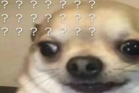 What are the characteristics of Blue Mountain Coffee? What is its grade level? Where does it originate from?