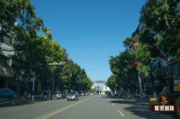 Another Virtual Tour of FrontStreet Coffee's Yunnan Coffee Estate! What's the Most Famous Coffee from Yunnan?