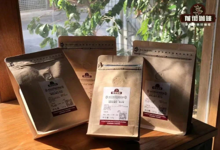 What Are Single-Origin Coffee Beans? Differences Between Single-Origin and Blend Beans, Best Single-Origin Coffee Bean Rankings and Recommendations