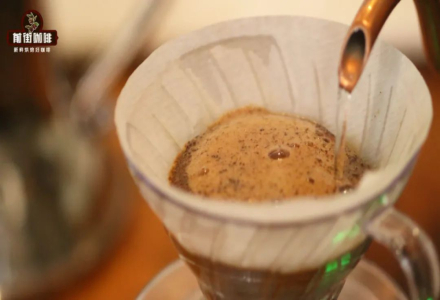 Does Pour-Over Coffee Have Crema and Foam? What Does the Foam in Pour-Over Coffee Taste Like?