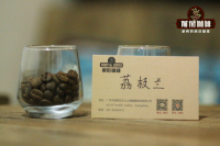 Flavor Characteristics of Honduras Lychee Orchid Coffee Beans: A Brandy Barrel-Aged Coffee Bean Brewing Tutorial