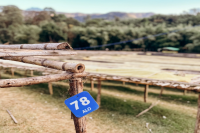 Introduction to Ethiopia's Renowned Coffee Regions | Flavor Profile of Alo Village Coffee with Floral Notes in Sidamo Bensa Area