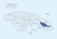 What is the Taste Profile of Premium Blue Mountain Coffee (JABLUM) - Authentic Jamaican Blue Mountain Coffee Brand