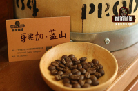 Blue Mountain Coffee Introduction - Essential Guide to Gourmet Coffee