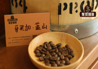 Blue Mountain Coffee Introduction - Essential Guide to Gourmet Coffee