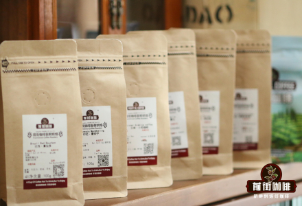 Is Arabica Coffee Bean American Black Coffee? Is it Delicious? Benefits and Disadvantages of Drinking Coffee