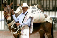 World's Top 10 Coffees: The Pioneer of Colombian Coffee Icons - Juan Valdez