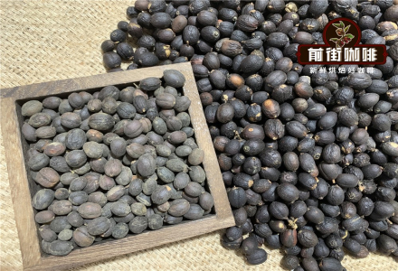 Taste Profile of Yunnan Small Bean Coffee, Known as 
