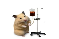 Why Did My Coffee Machine Explode? Essential Tips for Using Espresso Machines and Replacing Gaskets