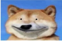 Q-Grader Green Coffee Exam Process and Considerations: How to Identify Defective Coffee Beans