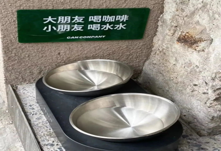 How to Open a Community Coffee Shop? No One Can Resist a Pet-Friendly Coffee Shop!