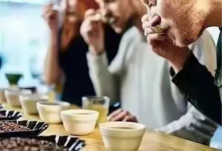 Should You Slurp When Drinking Pour-Over Coffee? What Is Cupping Slurping and What Is Its Purpose?