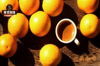 Espresso Recipe and Brewing Method: Ratios, Time, Tamping Steps and Process