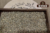 Premium Coffee Beans: Jamaica Blue Mountain Coffee Region Story and Grade Introduction
